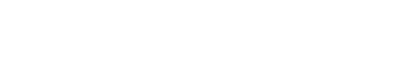 visumo_logo